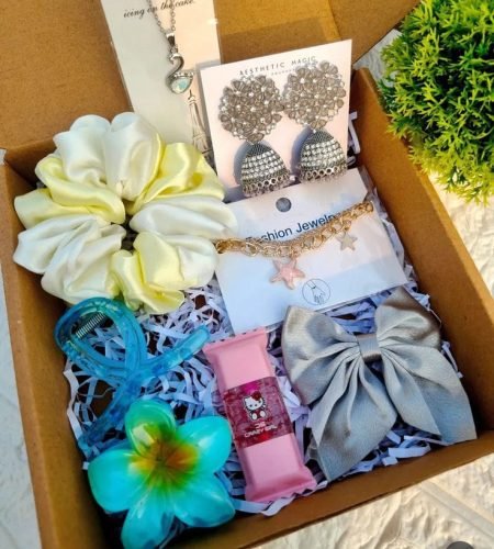 whatsapp image 2026 01 27 at 2.57.18 pm (2)